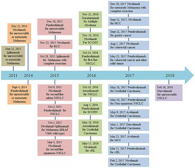 Cancer Immunotherapy in Diffuse Large B-Cell Lymphoma